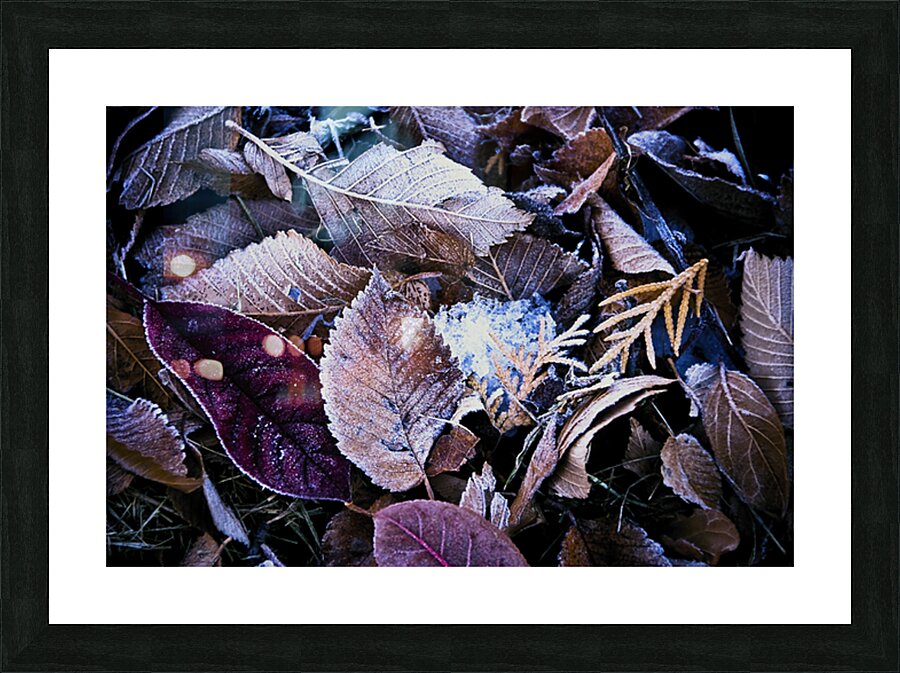 Bitter Leaves 10 Picture Frame print