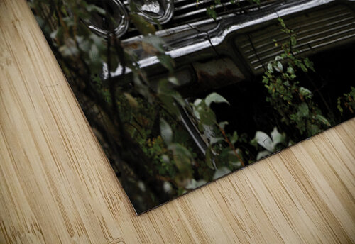 C Head On GyspyMoon Photography puzzle