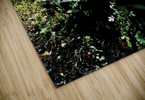 Resting Spots GyspyMoon Photography puzzle