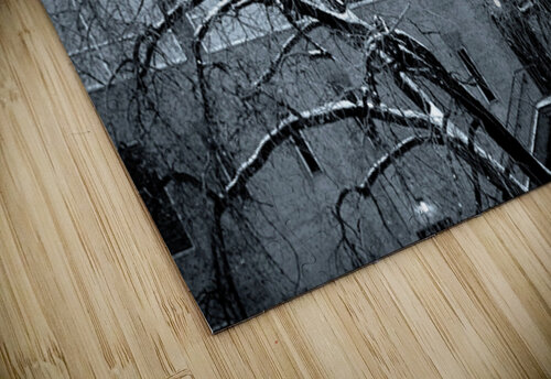Winter Gothic GyspyMoon Photography puzzle