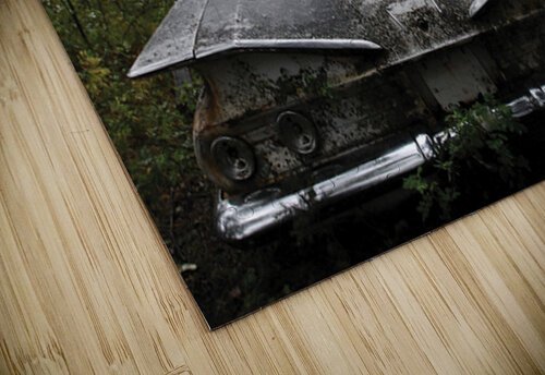 Tail Fins GyspyMoon Photography puzzle
