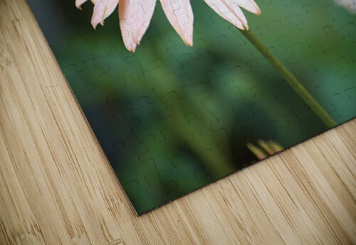 The Healing GyspyMoon Photography puzzle