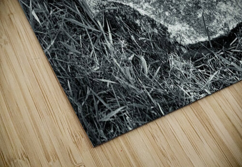 Elizabeth GyspyMoon Photography puzzle