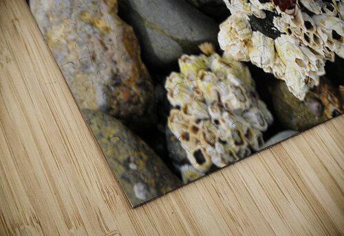 Beach Reach GyspyMoon Photography puzzle