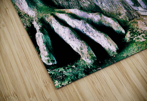 Sighted GyspyMoon Photography puzzle
