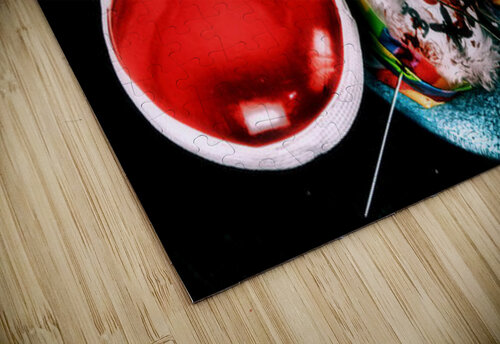 Dropped GyspyMoon Photography puzzle