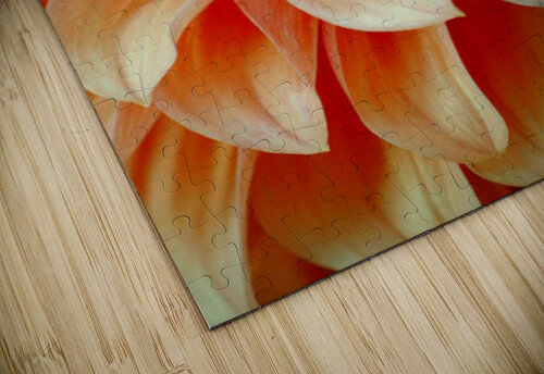 Vancouver Orange GyspyMoon Photography puzzle