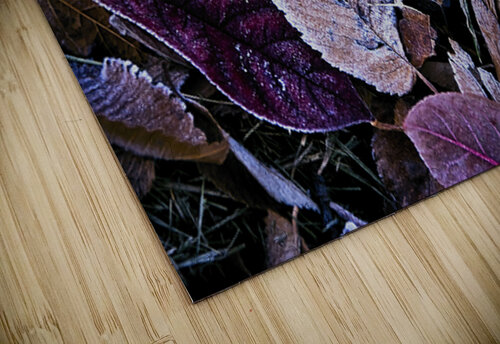 Bitter Leaves 10 GyspyMoon Photography puzzle