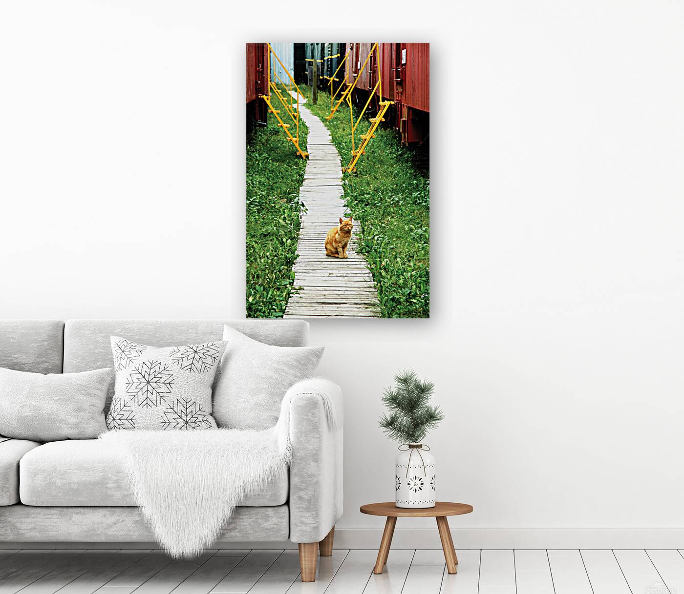 Board Cat Walk Reproduction