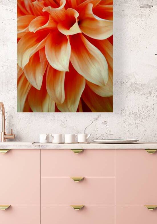 Vancouver Orange Reproduction