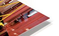 Board Cat Walk HD Metal print