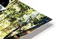 Oldest HD Metal print