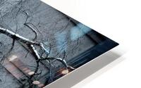 Winter Gothic HD Metal print