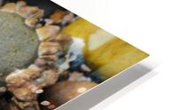 Beach Reach HD Metal print