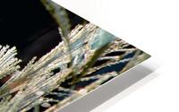 Scenic Wheat HD Metal print