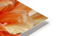 Vancouver Orange HD Metal print