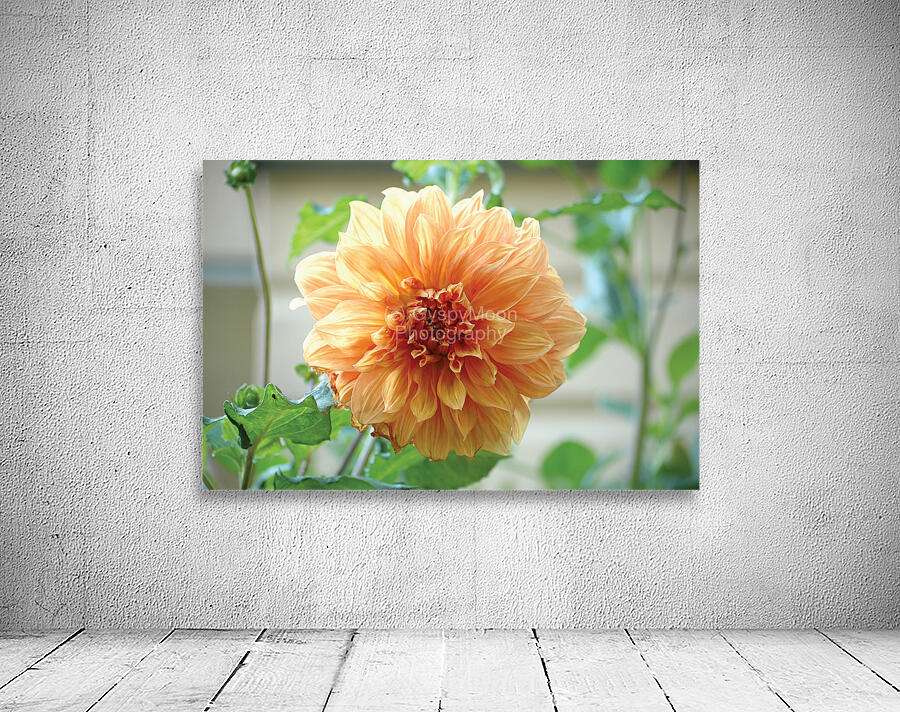 Centred II Wall Preview