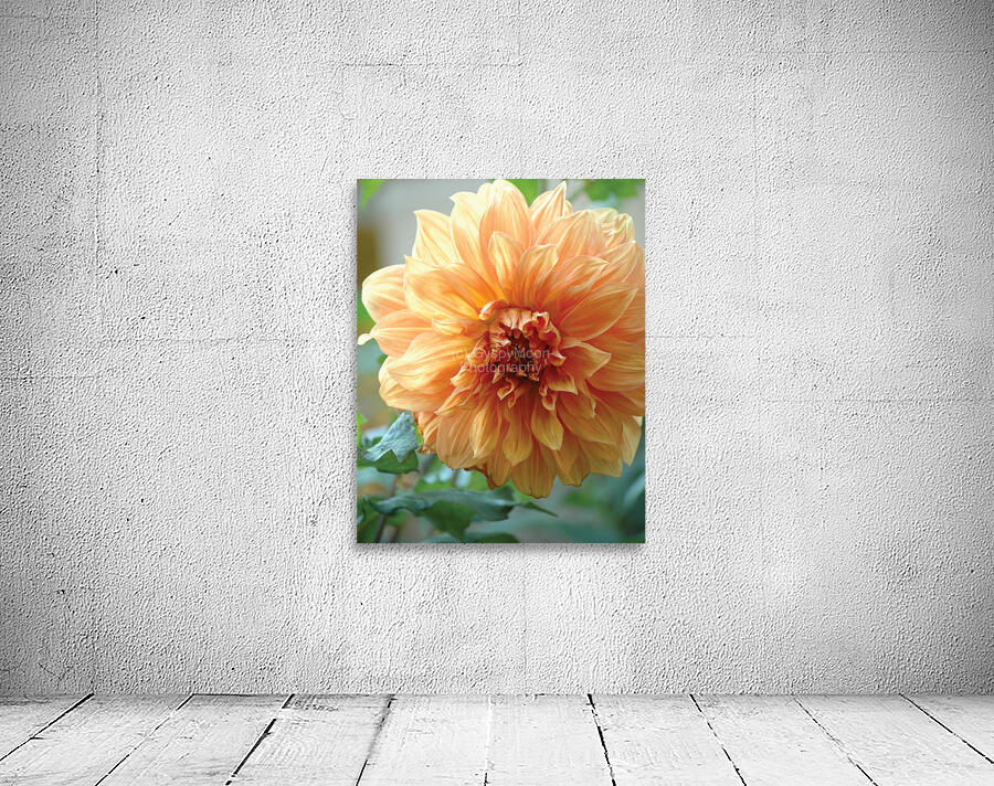 Centred Wall Preview