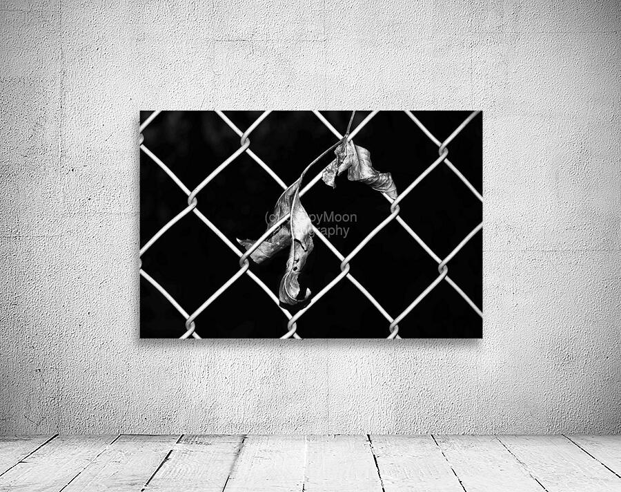 Fence1 Wall Preview