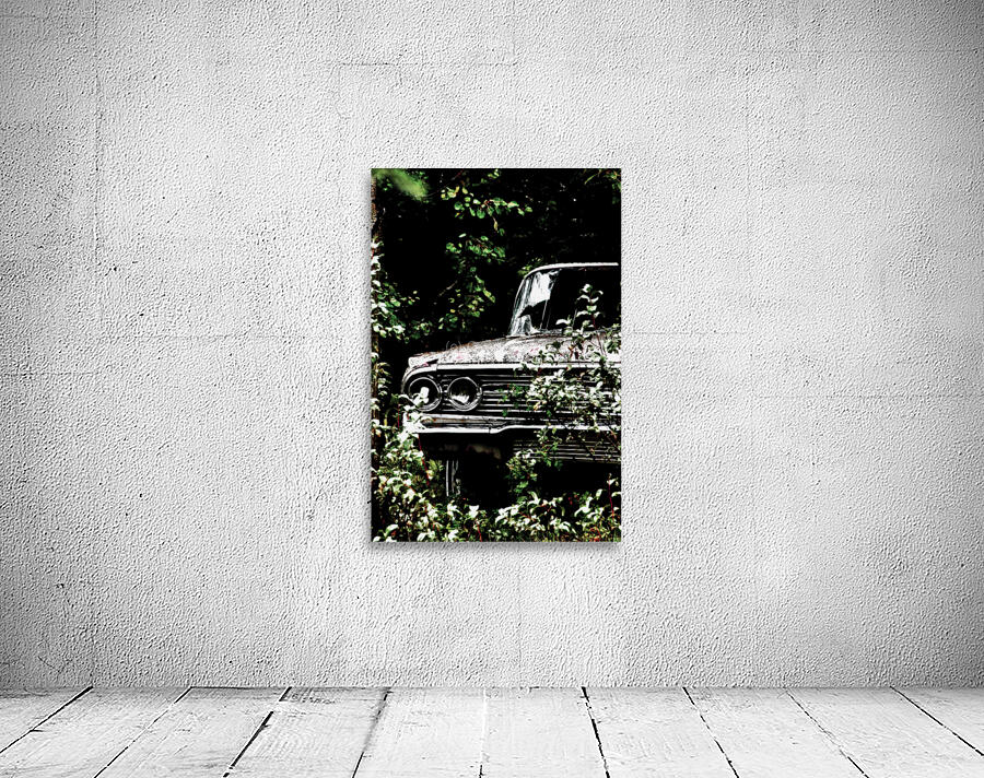 Cruising Speed Wall Preview