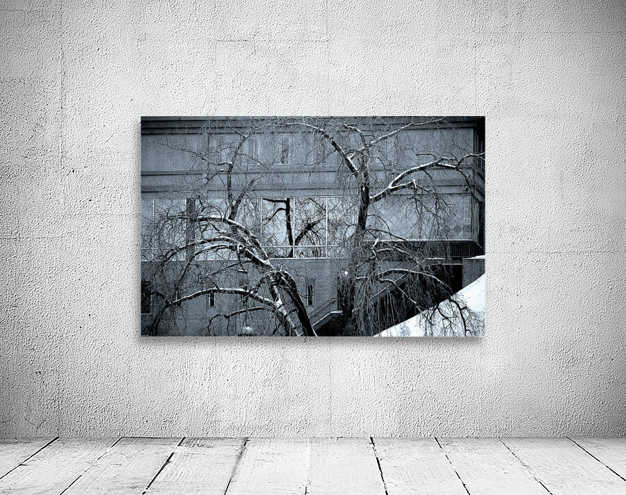 Winter Gothic Wall Preview