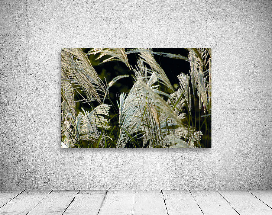 Scenic Wheat Wall Preview