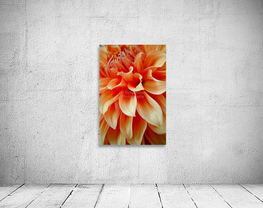 Vancouver Orange Wall Preview