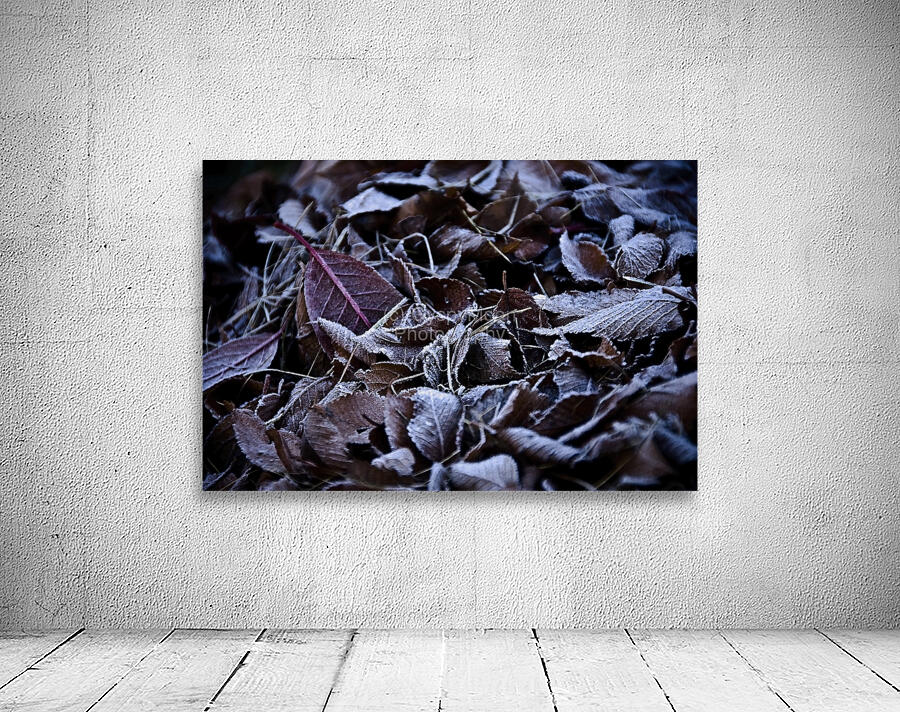 Bitter Leaves 5 Wall Preview