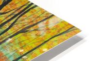 Autumn Forest Waterfall HD Metal print