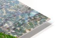 Misty Trail HD Metal print