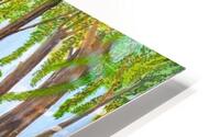 Lakeside Garden HD Metal print