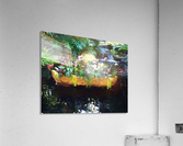 Floating Botanicals Acrylic Print