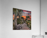 Anna Marie Sunset Acrylic Print