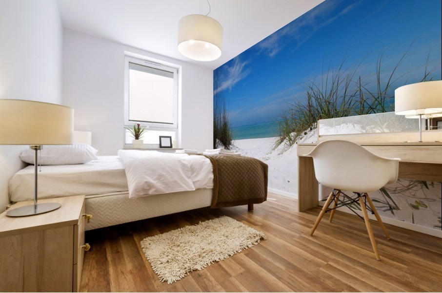 Coquina Dunes Mural print