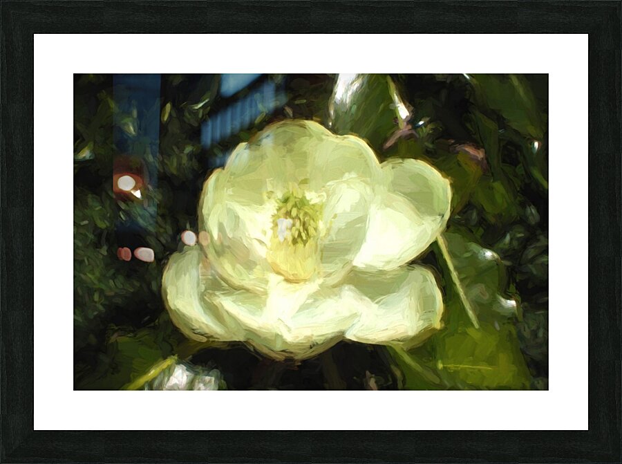 Magnolia Picture Frame print