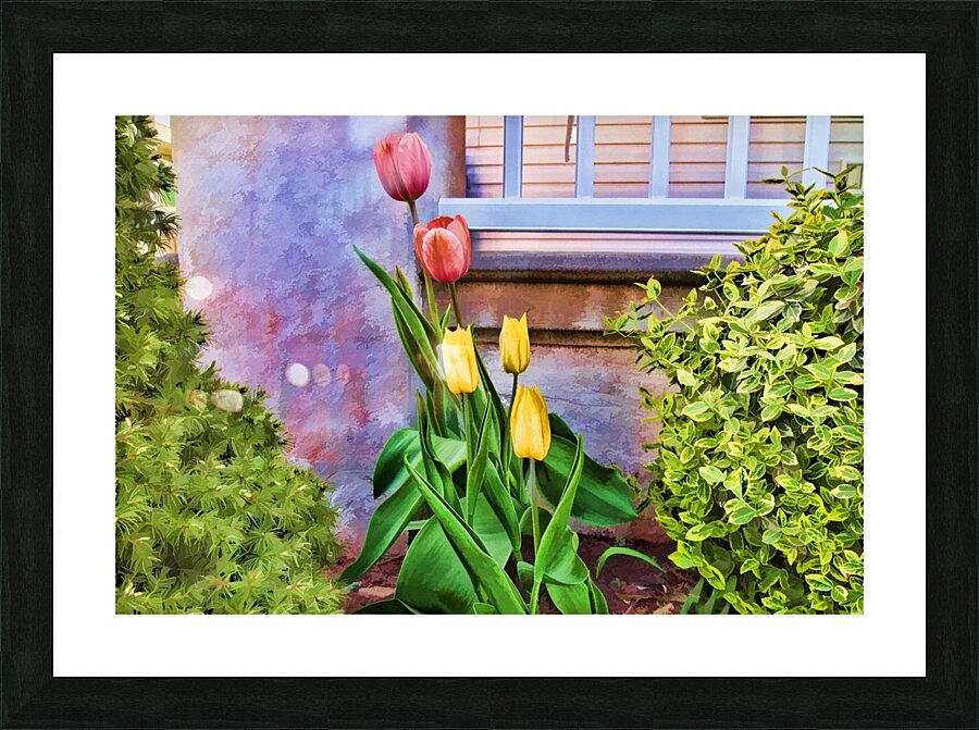 Painted Tulips Picture Frame print