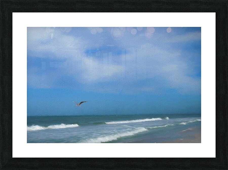Flying Solo Picture Frame print