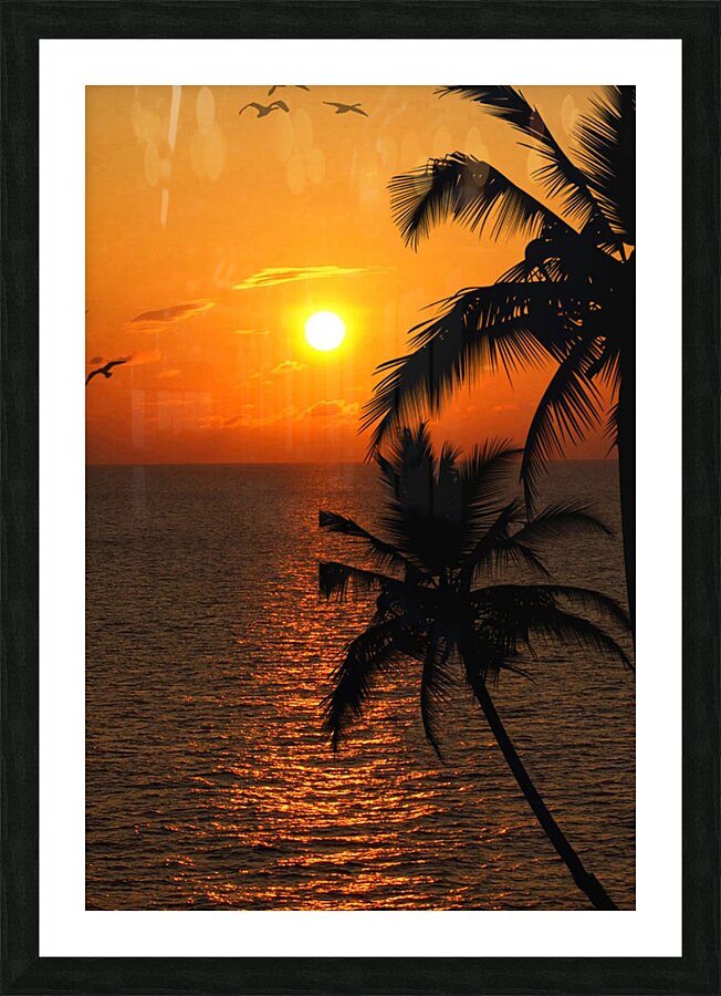 Unknown Paradise Picture Frame print