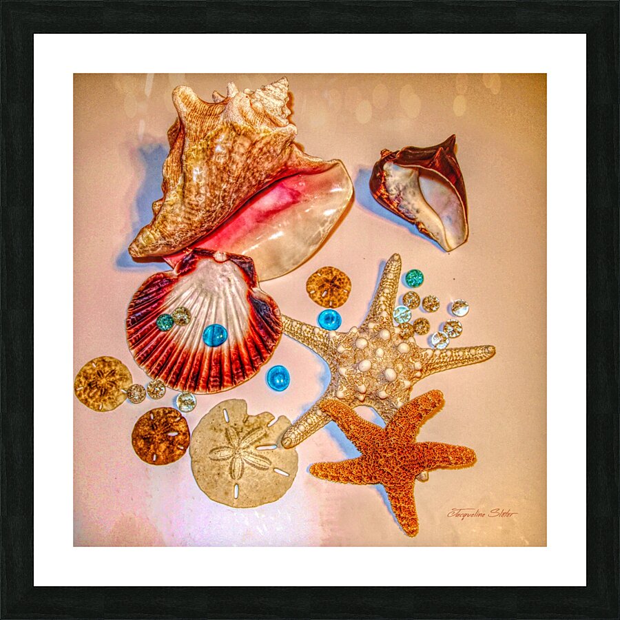 Sea Treasures Picture Frame print