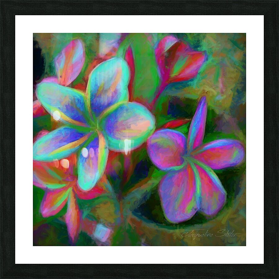 Painterly Frangipanis Picture Frame print