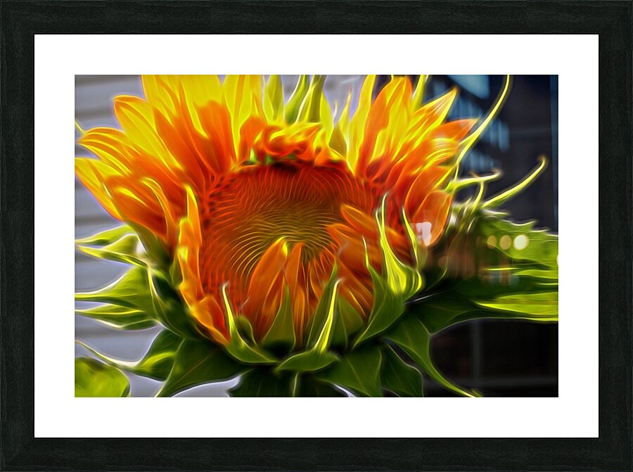 Glowing Sun Picture Frame print