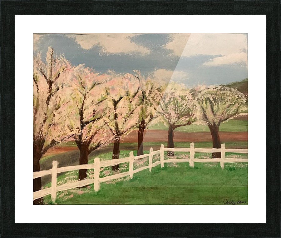 Trees In Bloom Picture Frame print