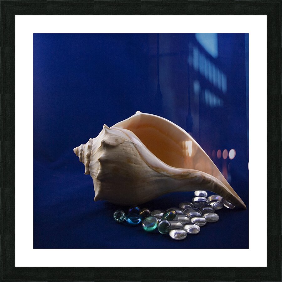 Single Conch Shell With Colored Glass  Picture Frame print