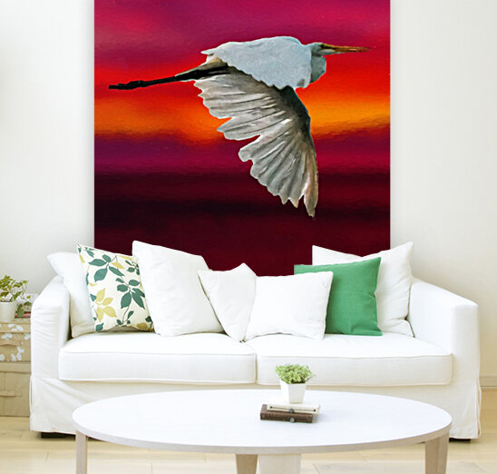Egret in sunset Reproduction