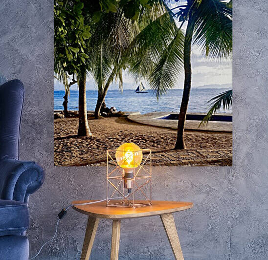 Sailboat And Palms by Jacqueline Sleter