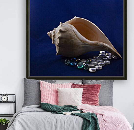 Single Conch Shell With Colored Glass  by Jacqueline Sleter