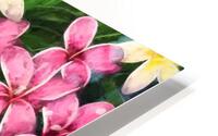 Tropical Paradise HD Metal print