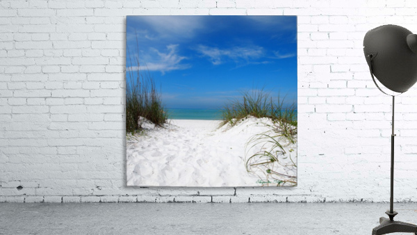 Coquina Dunes Wall Preview