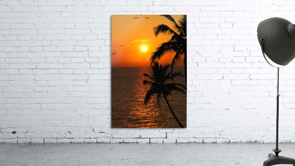 Unknown Paradise Wall Preview