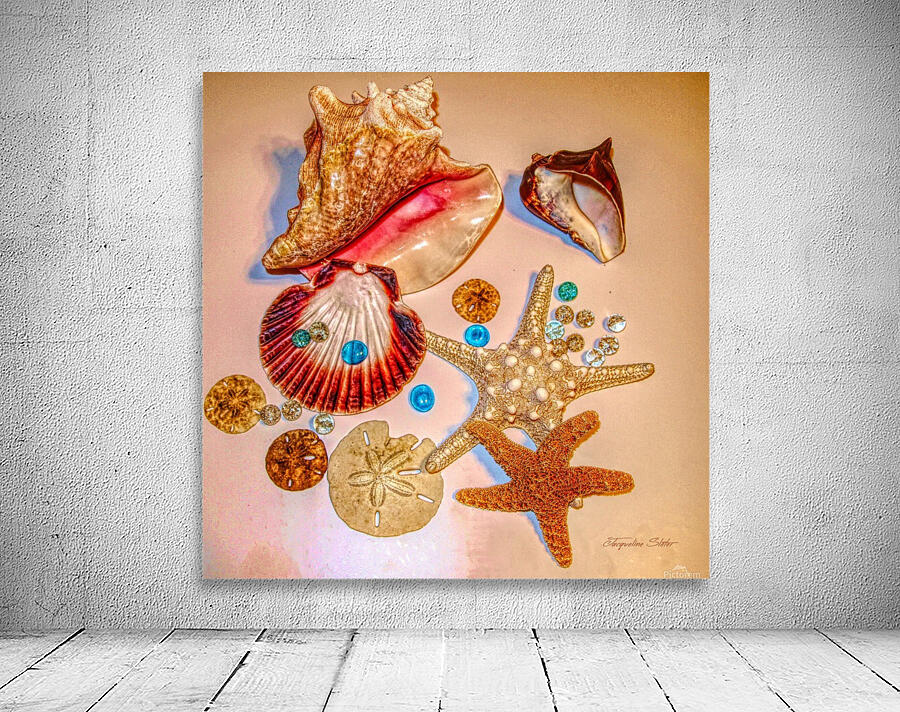 Sea Treasures Wall Preview